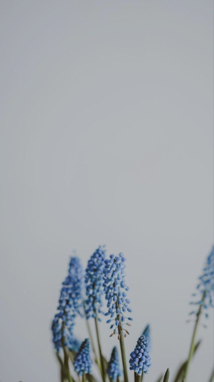 Эскорт Соня с 3 размером груди сделает нежно минет без резинки и примет у себя в Район - Юго-Запад